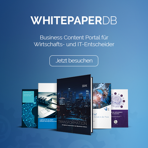 CTA-Grafik WhitepaperDB