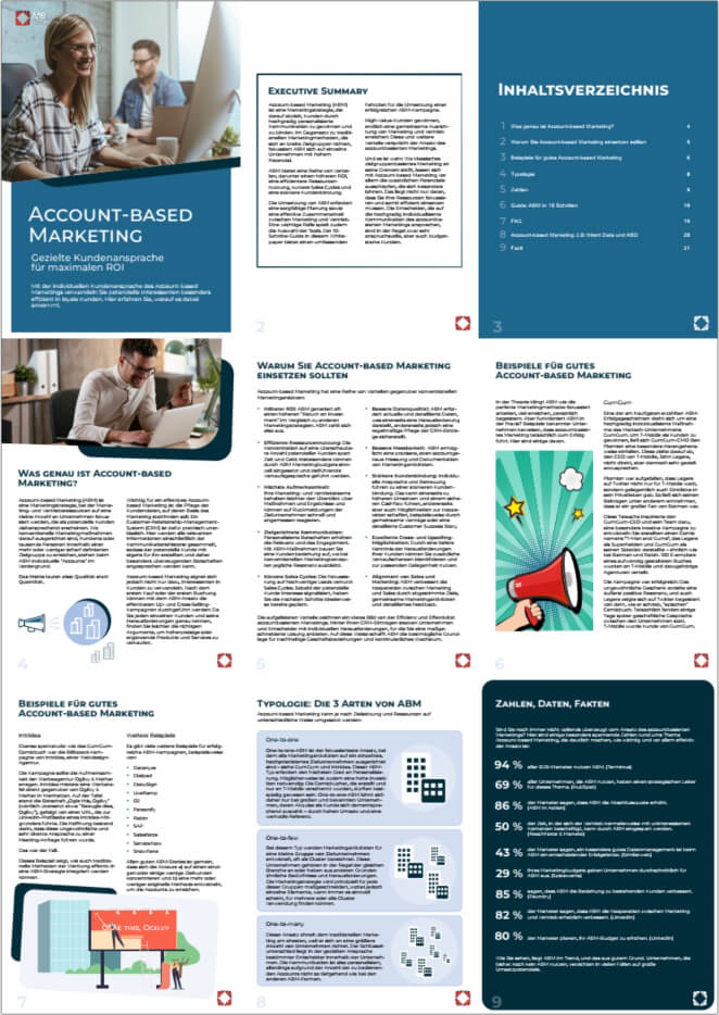 Whitepaper-Überblick